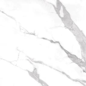 Calacatta Matte24X48 - White Swatch