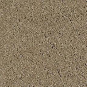 Quiet Comfort I - Llama Swatch