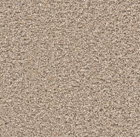 Stunning - Straw Swatch