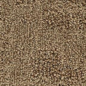 Intriguing Allure - Sienna Swatch