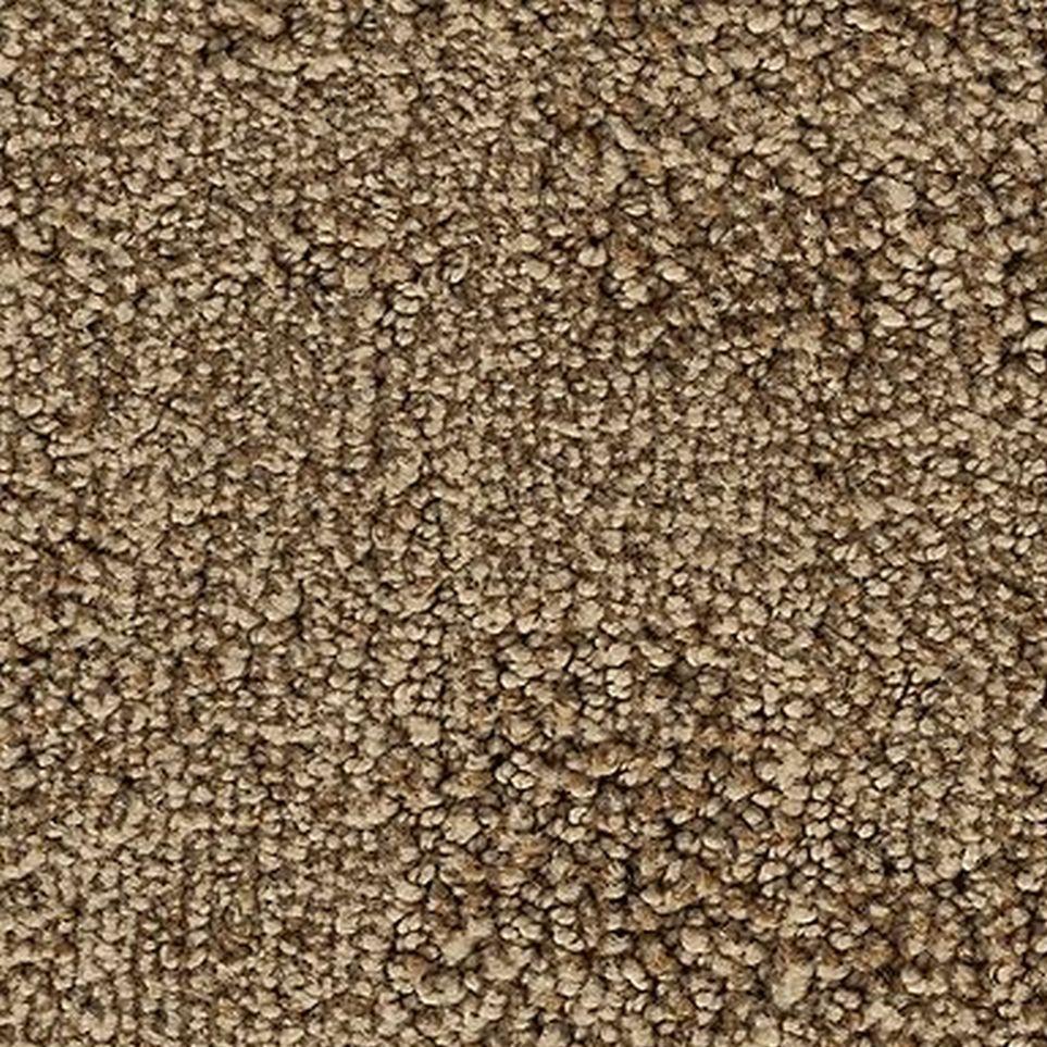 Sienna Zoomed Swatch