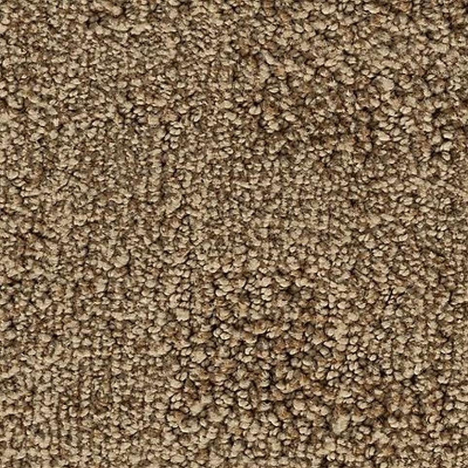Sienna Swatch