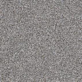 Top Dog - Schnauzer Swatch
