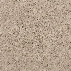 Ash Swatch