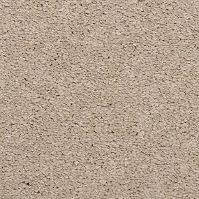 Ash Zoomed Swatch