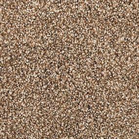 Sandy Clay Zoomed Swatch