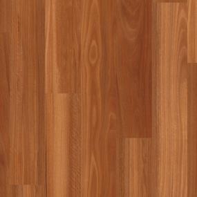 Auburn Spotted Gum Swatch