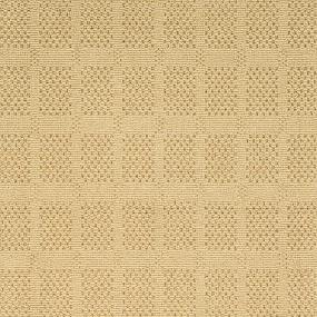 Aspen Square-13.17  X 125 - Aspsqabbr1302 - Straw Swatch