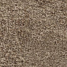 Blonde Willow Swatch Thumbnail