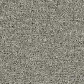 Collective - Dashing Swatch