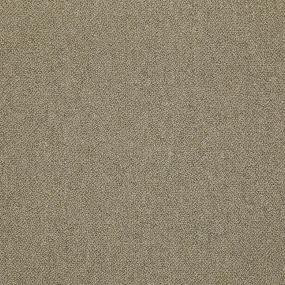 Supplement - Companion Swatch