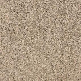 Monterey - Driftwood Swatch