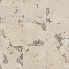 Savoir Rectangle 24X48 PL - Pierre Polished Swatch