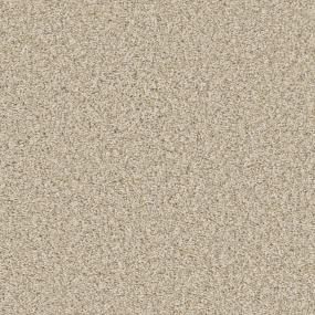 Palomino Zoomed Swatch