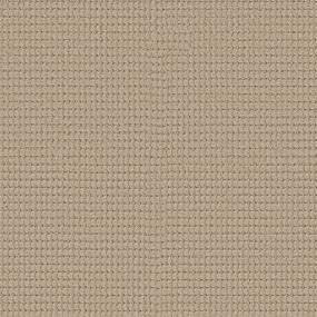 Cozy Alpine Retreat - Blond Straw Swatch