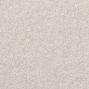 Maison Luxe - Cashew Swatch