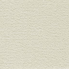 Whimbrel - Snowdrift Swatch