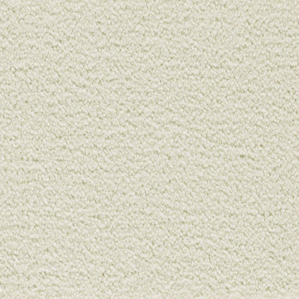 Whimbrel