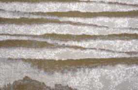 Macadamia Swatch Thumbnail
