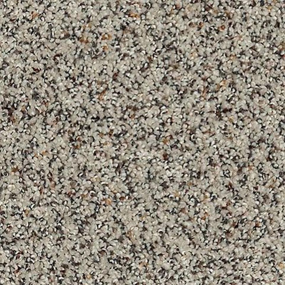 Instinctive Taste by Karastan - Fine White