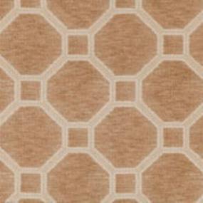 Delicate Frame - Sable Swatch