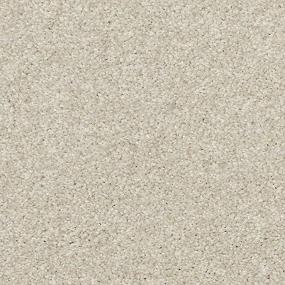 Delicate Shades - Camellias Swatch