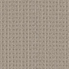 Barn Door Zoomed Swatch