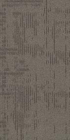 INQUISITIVE TL - Wisdom Swatch