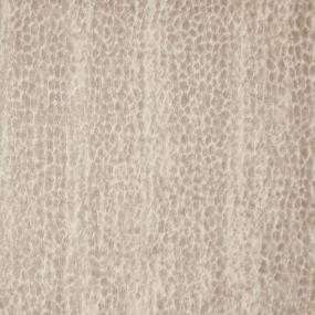 Oyster Swatch