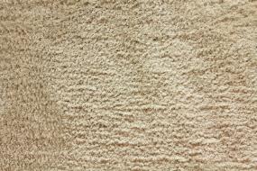 Shaggy Posh - Beachwood Swatch