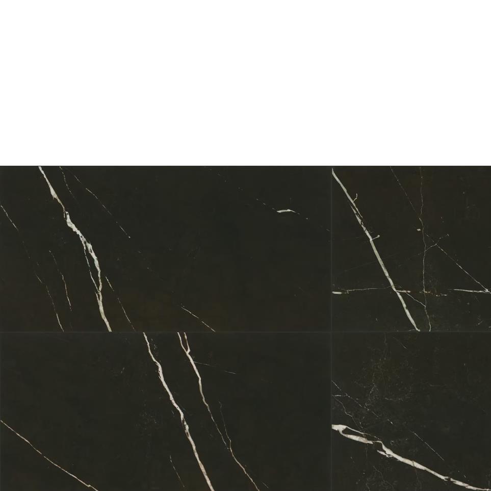 Nero Polished Zoomed Swatch