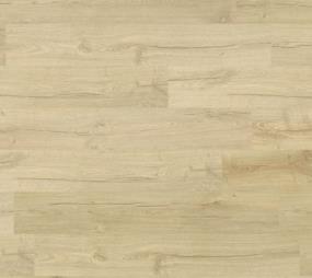 Euriha Disk - Cape Seashell Swatch