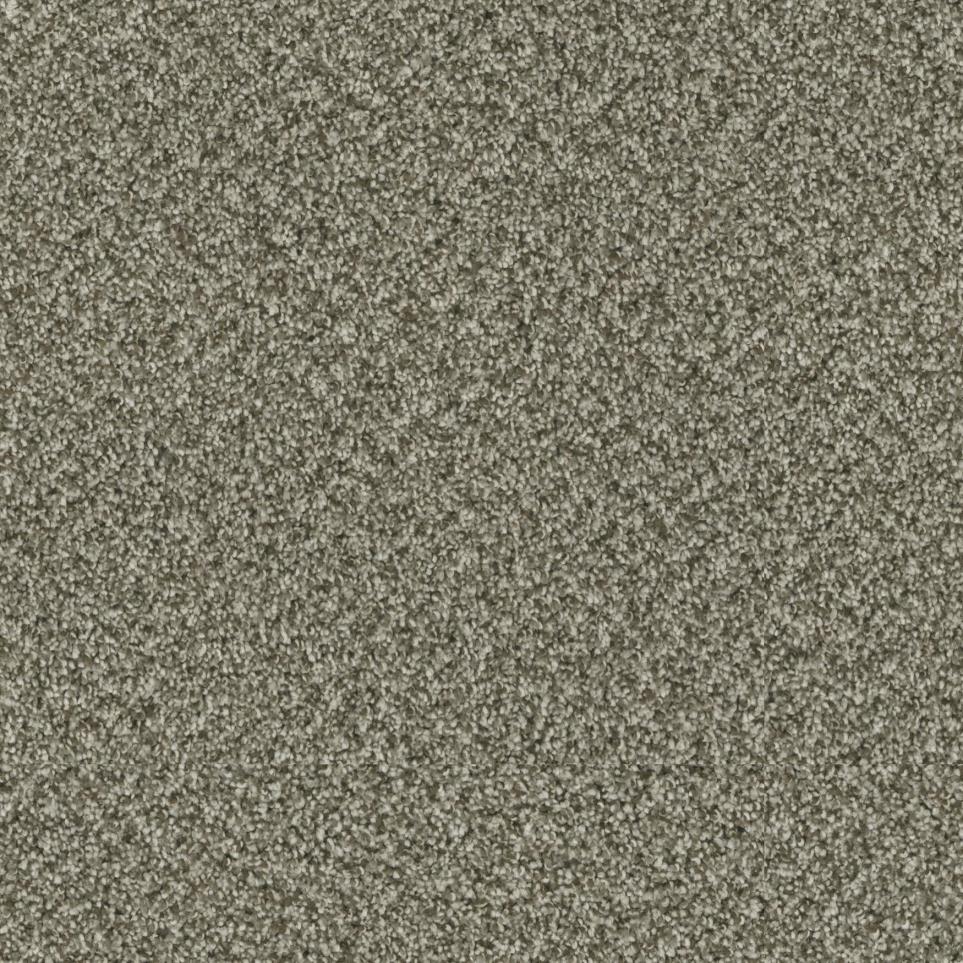 Olivewood Zoomed Swatch