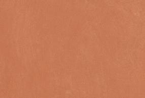 Coral Swatch Thumbnail