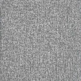Ventura - Nickel Swatch