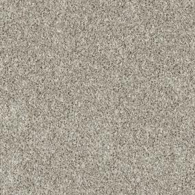 Soft Brown Zoomed Swatch