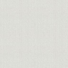 Well Rounded - Winter Birch Swatch