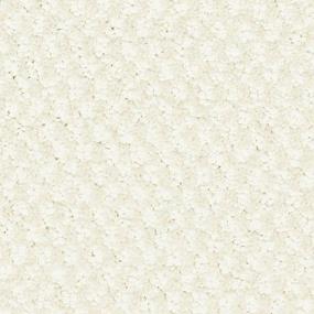 Pleasant Shift - Destiny Swatch