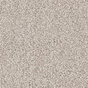 Akita - Spaniel Swatch