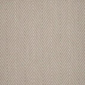 Montego - Shell Swatch
