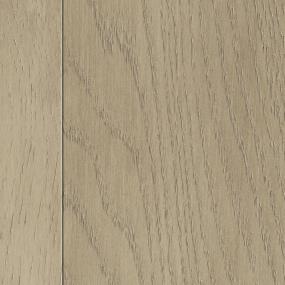 Astor Zoomed Swatch