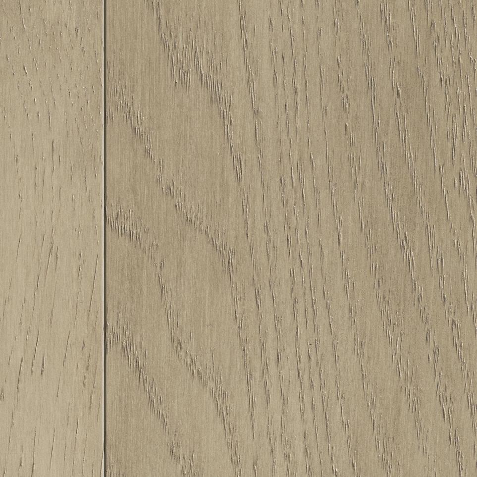 Astor Zoomed Swatch