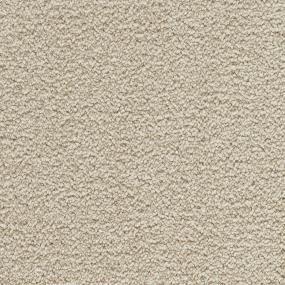 Whimbrel - Temperate Swatch