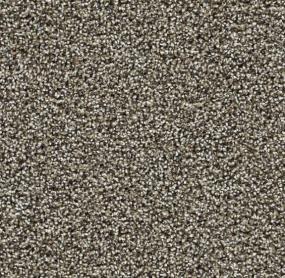 Captivating II - Dark Truffle Swatch