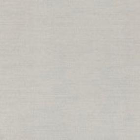 Radius Dfb - Silverpoint Swatch