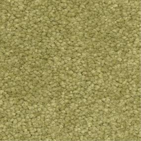 Esperanza - Pistachero Swatch