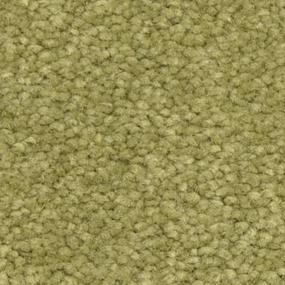 Pistachero Zoomed Swatch