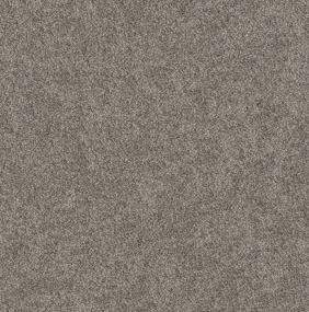 Hammerhead Swatch Thumbnail