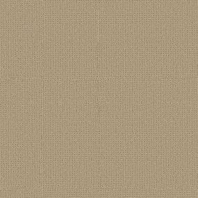 Spanish Coin Swatch