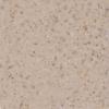 Elemental Tan Speckle Abrasive
